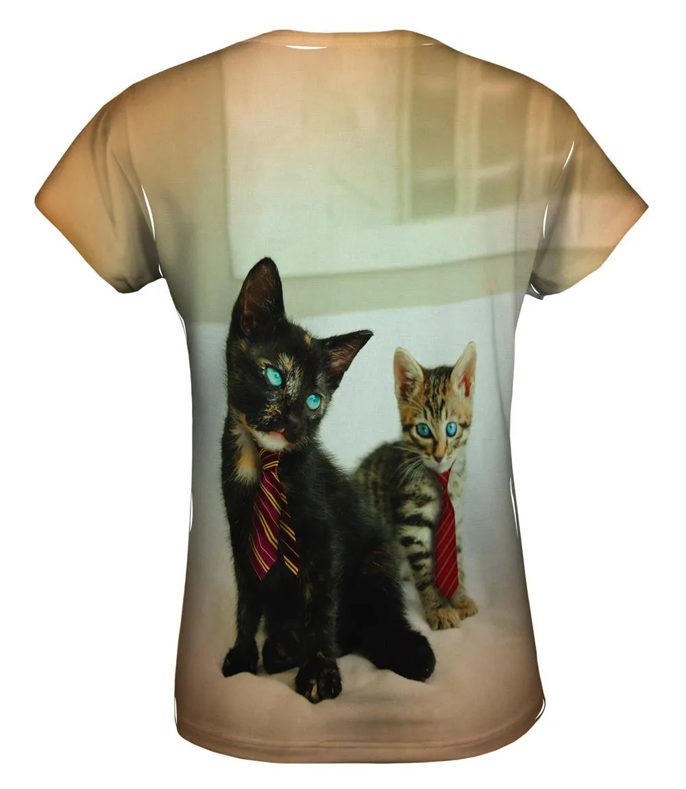 Business Kittens