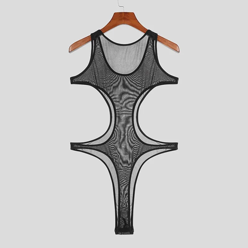 Partially Obscured 2pc Mesh Bodysuit