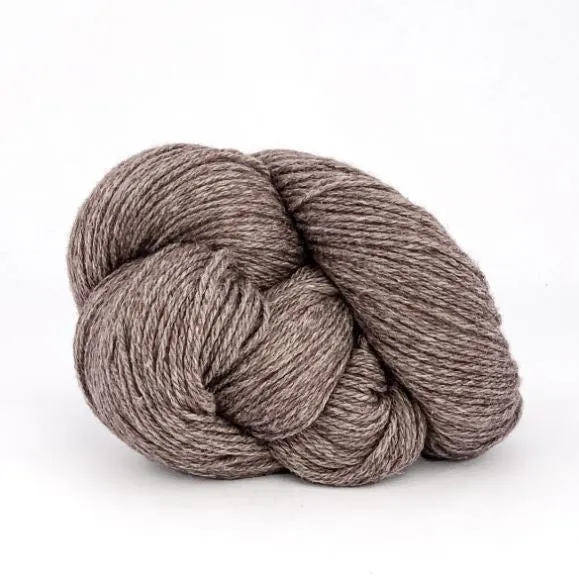 Xyris Kit Size 6-7 (Taupe 10)
